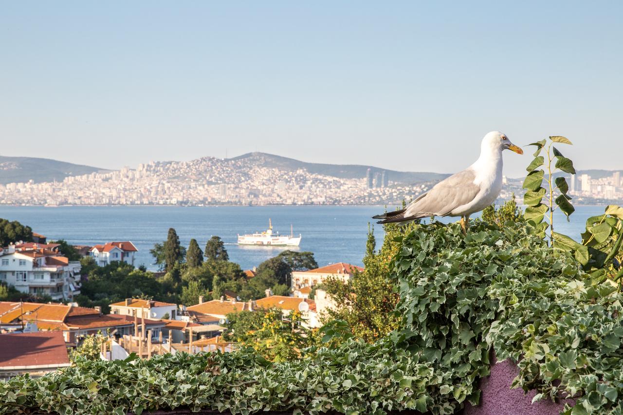 L'Isola Guesthouse (Adults Only) Heybeliada Buitenkant foto